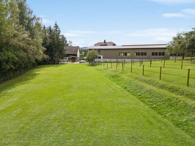 Einfamilienhaus kaufen in Wängi