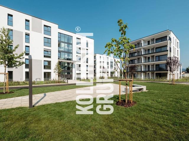 Apartment mieten in Klagenfurt, Kärnten