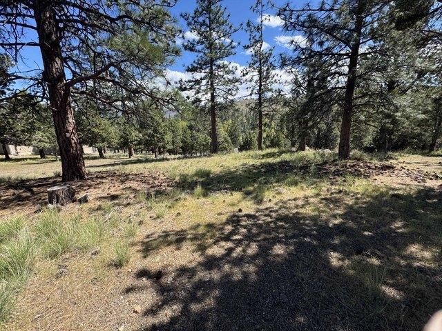 Land for sale in Weed, California