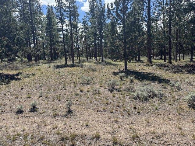Land for sale in Weed, California