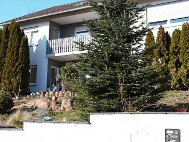 Wohnung kaufen in Eisenbach, Obernburg am Main