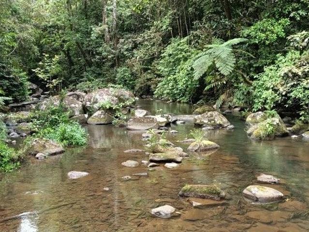 Cottage for sale in Tablelands, Queensland