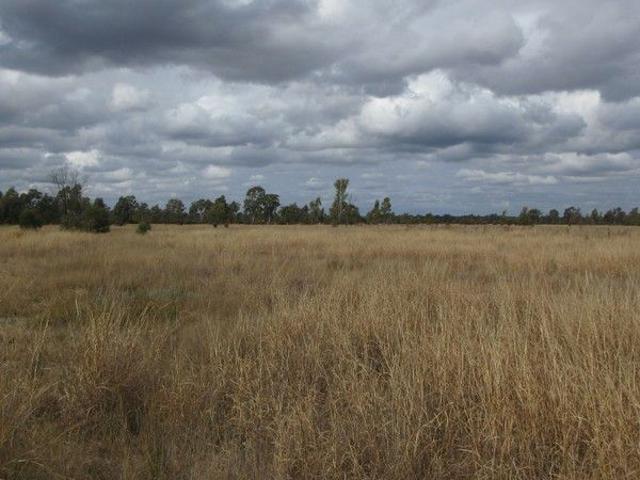 Cottage for sale in Tara, Queensland