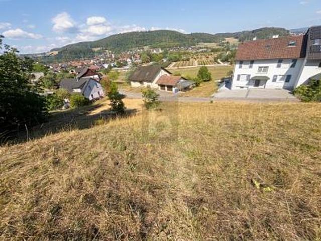 Erdgeschosswohnung kaufen in Waldshut-Tiengen, Baden-Württemberg