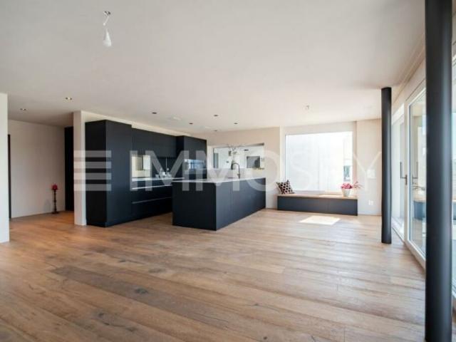 Einfamilienhaus kaufen in Eggenwil, Aargau