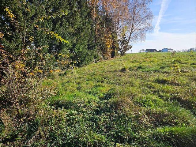 Immobilie kaufen in Obertrum, Salzburg