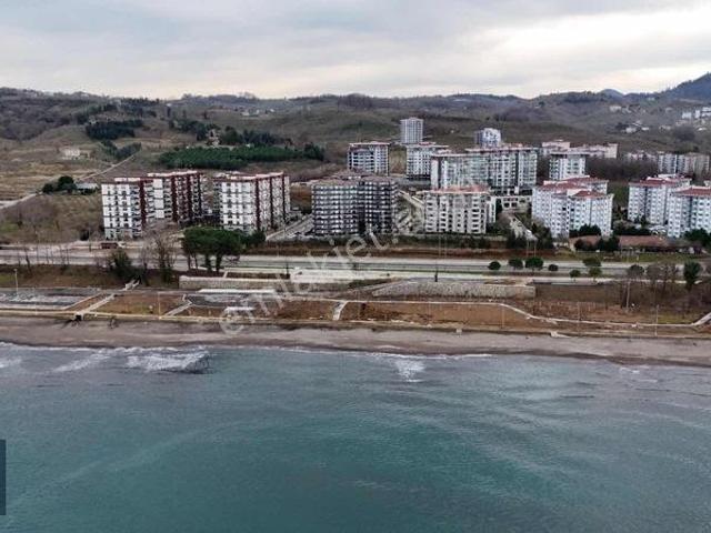 Ordu içerisinde satılık mülk