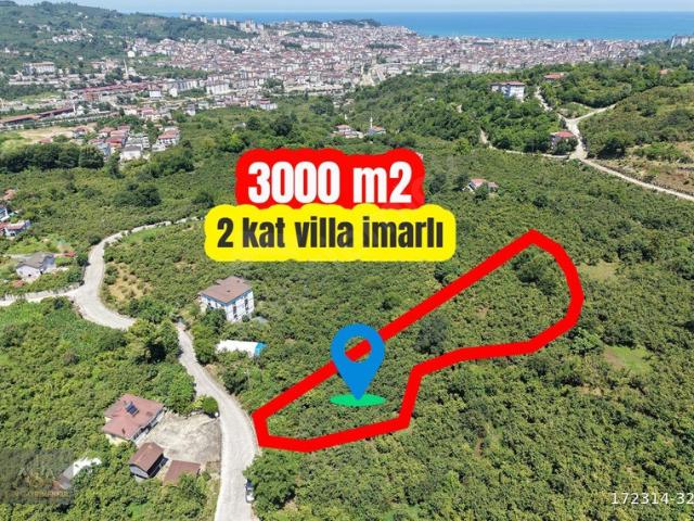 Çatalpınar Mahallesi, Ünye içerisinde satılık mülk