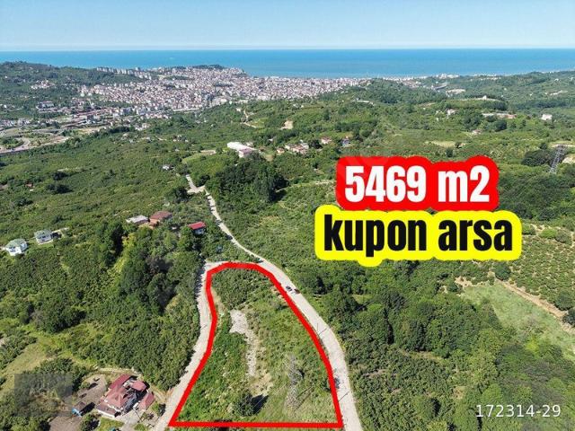 Çatalpınar Mahallesi, Ünye içerisinde satılık mülk