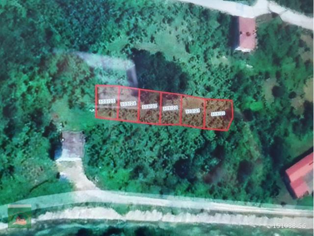 Nuriye, Ünye içerisinde satılık Arsa