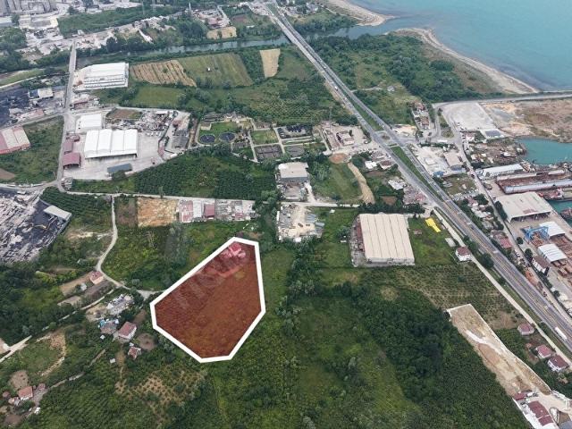 Cevizdere Mahallesi, Ünye içerisinde satılık Dükkan