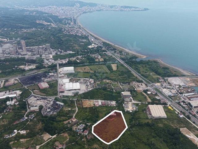 Cevizdere Mahallesi, Ünye içerisinde satılık Dükkan