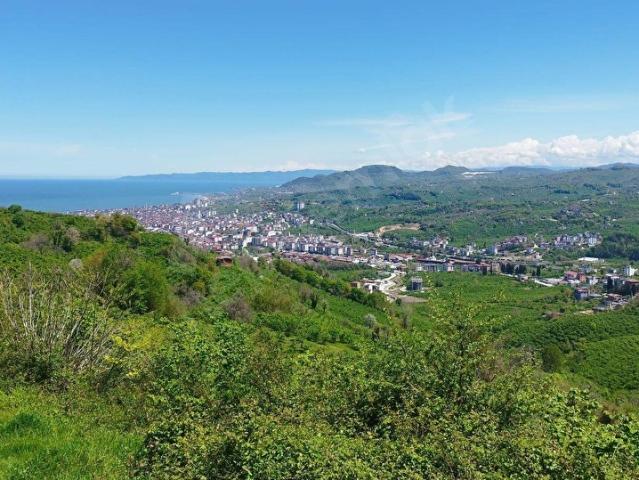 Gölevi, Ünye içerisinde satılık Arsa