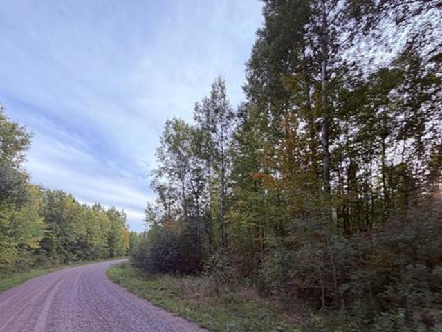 Land for sale in Phillips, Wisconsin