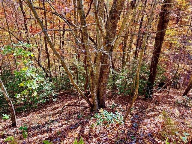 Land for sale in Blairsville