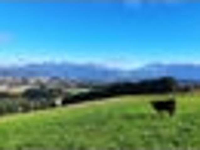 Land for sale in Southland