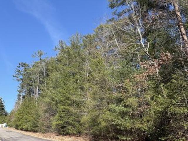 Land for sale in Georgia