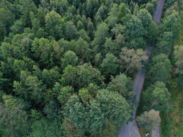 Tomt till salu i Västra Götaland