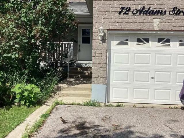 House for rent in Bradford West Gwillimbury, Ontario