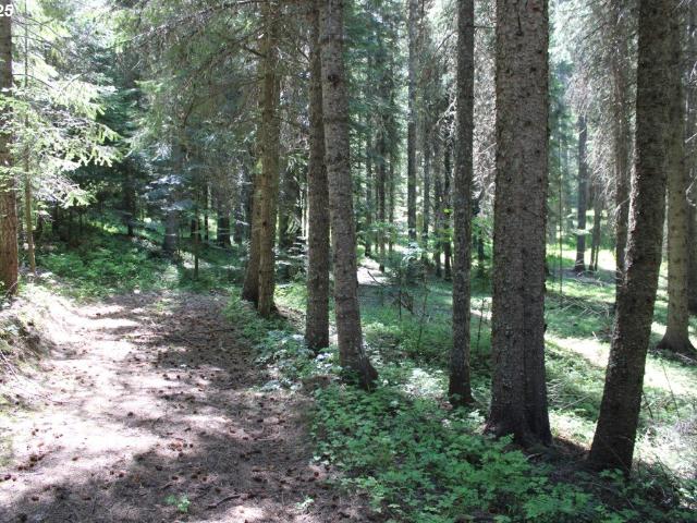 Land for sale in Weston