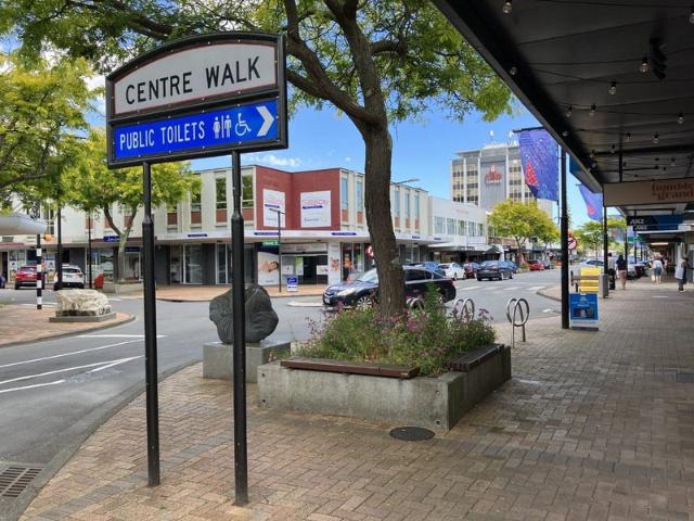 Apartment for rent in Pauatahanui, Wellington