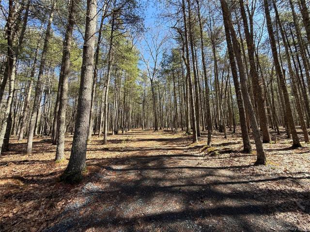 Land for sale in Glen Spey, New York