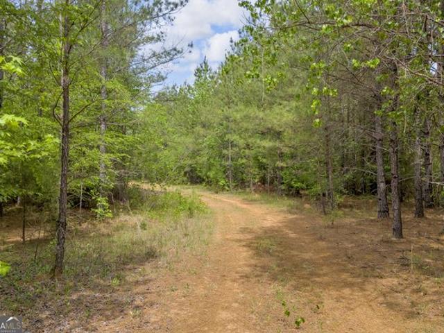 Land for sale in Crawfordville, Georgia