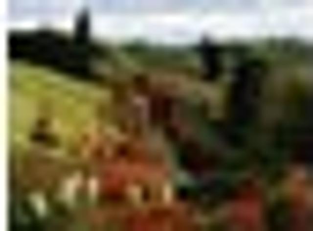 House for rent in Tasman