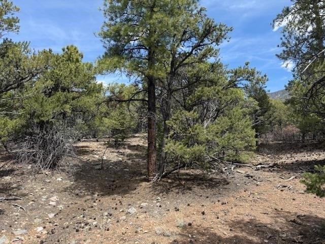 Land for sale in Costilla, New Mexico
