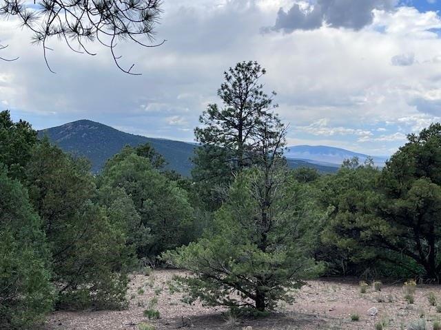 Land for sale in Questa, Taos County