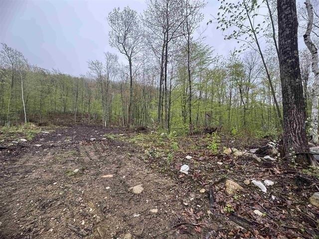 House for sale in Salisbury, Vermont