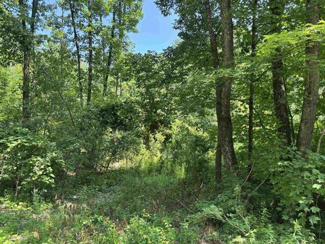 Land for sale in Salisbury, Vermont