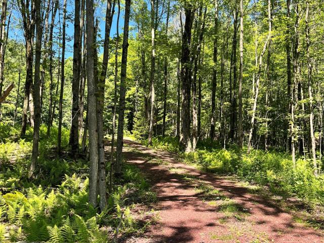 Land for sale in Roscoe, New York