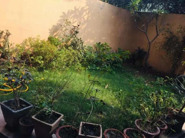 House for rent in Multan, Islamabad Capital Territory