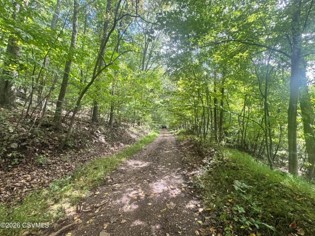 Land for sale in Gowen City, East Cameron Township