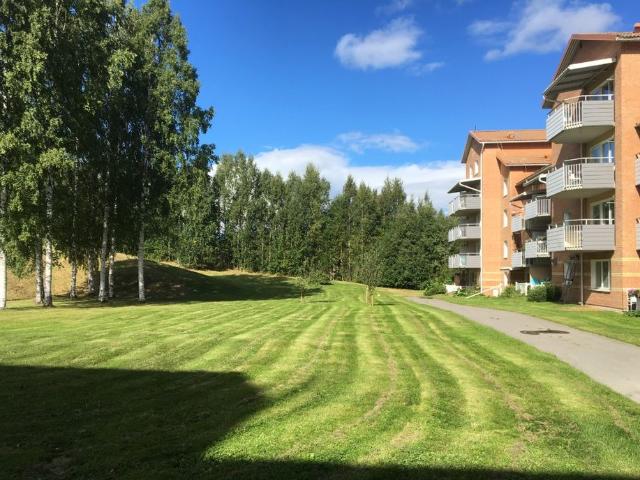 Lägenhet hyra i Skellefteå, Västerbotten