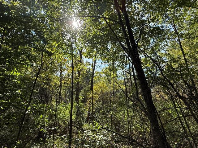 Land for sale in Big Flats, New York