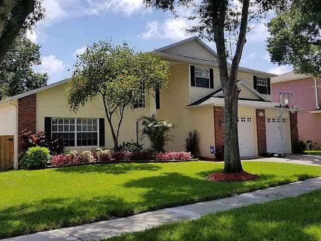 Room for rent in Tampa, Florida