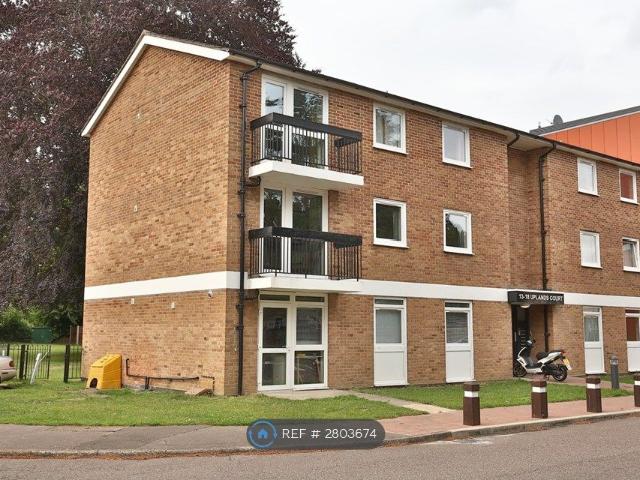 Room for rent in East Bank, Norfolk
