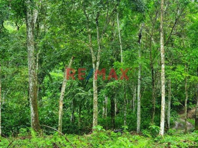 Terreno venta en San Martin