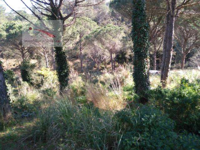 Terreno en venta en Baix Empordà, Catalunya