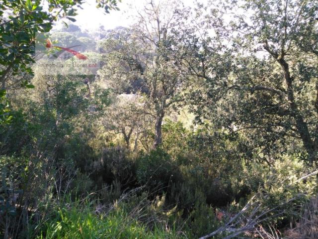 Terreno en venta en Lloret Residencial, Lloret de Mar