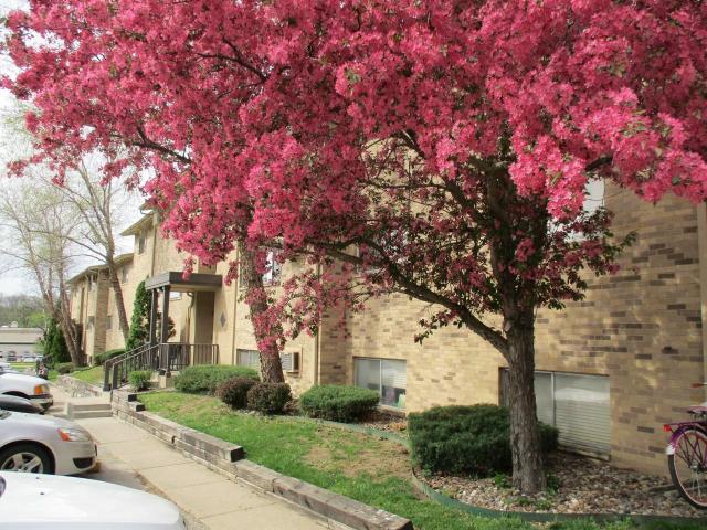 Apartment for rent in Urbandale, Polk County