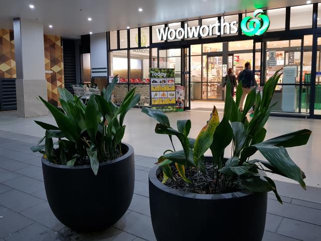 Apartment for sale in Mascot, New South Wales