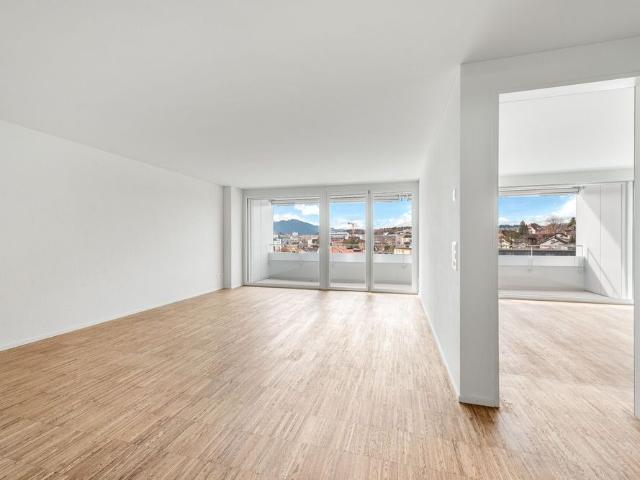 Apartment mieten in Meierhöfli, Emmen