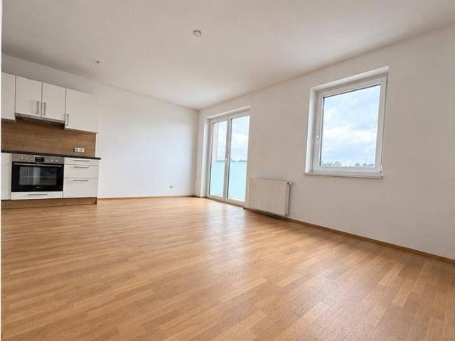 Apartment mieten in Froschberg, Linz