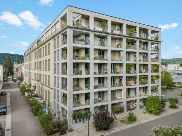 Immobilie kaufen in Windisch, Aargau