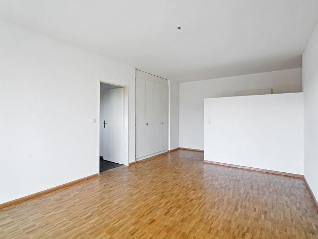 Apartment mieten in Grossbasel, Basel