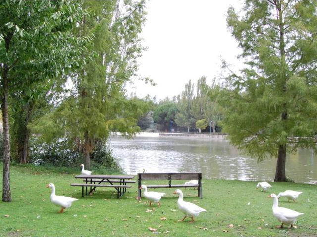 Piso en venta en Móstoles, Iviasa