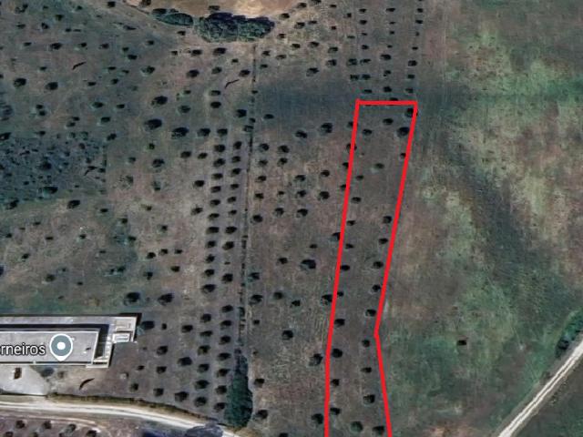 Terreno venda em Santarém